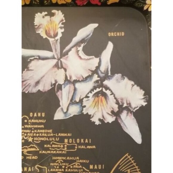 Vintage Hawaiian Islands Tin Serving Tray 13.5"x10" - Picture 2 of 8